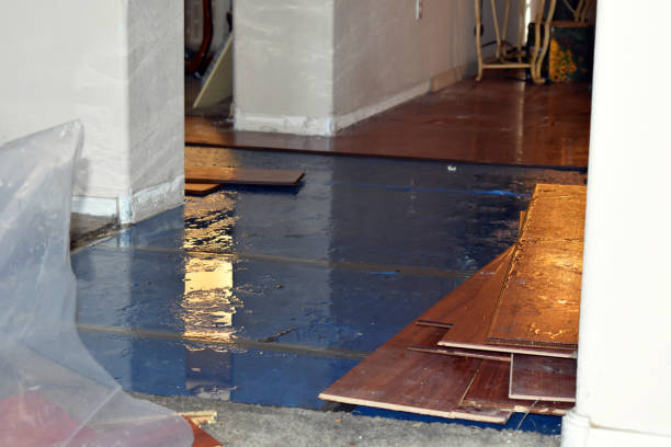 Professional Basement Flood Cleanup technician working in West Chicago, IL
